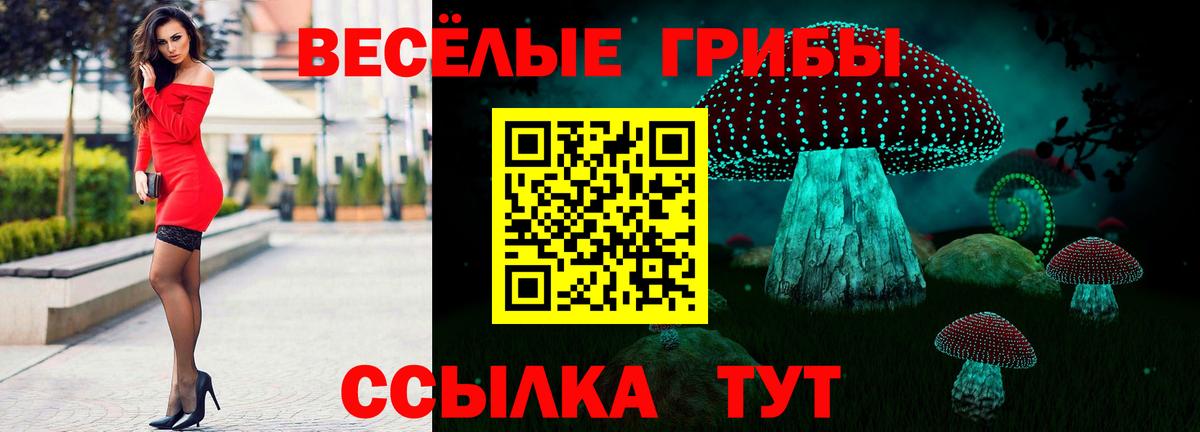 Кыштым  Галлюциногенные грибы Psilocybine cubensis  Вход с VPN  Галлюциногенные грибы Magic Shrooms 